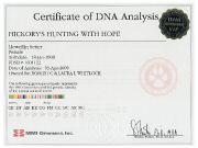 Certificate_DNA - HOPE.jpg